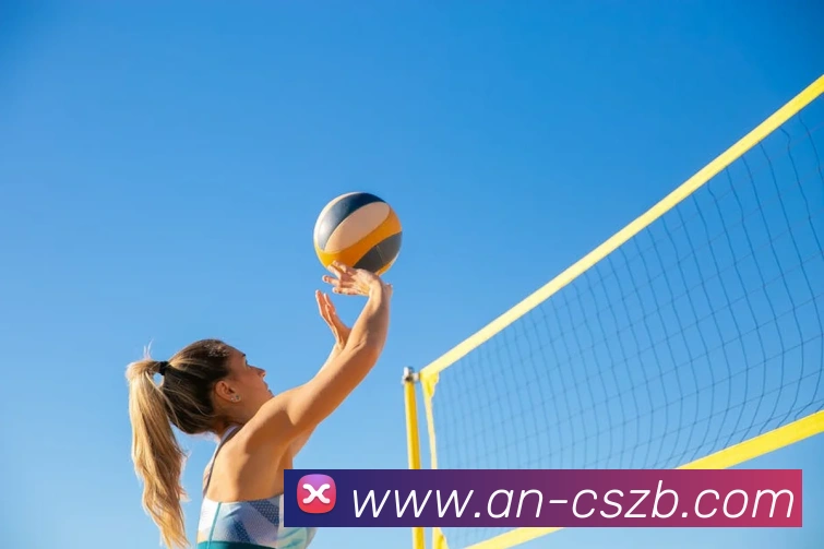 彩神争霸平台生态图